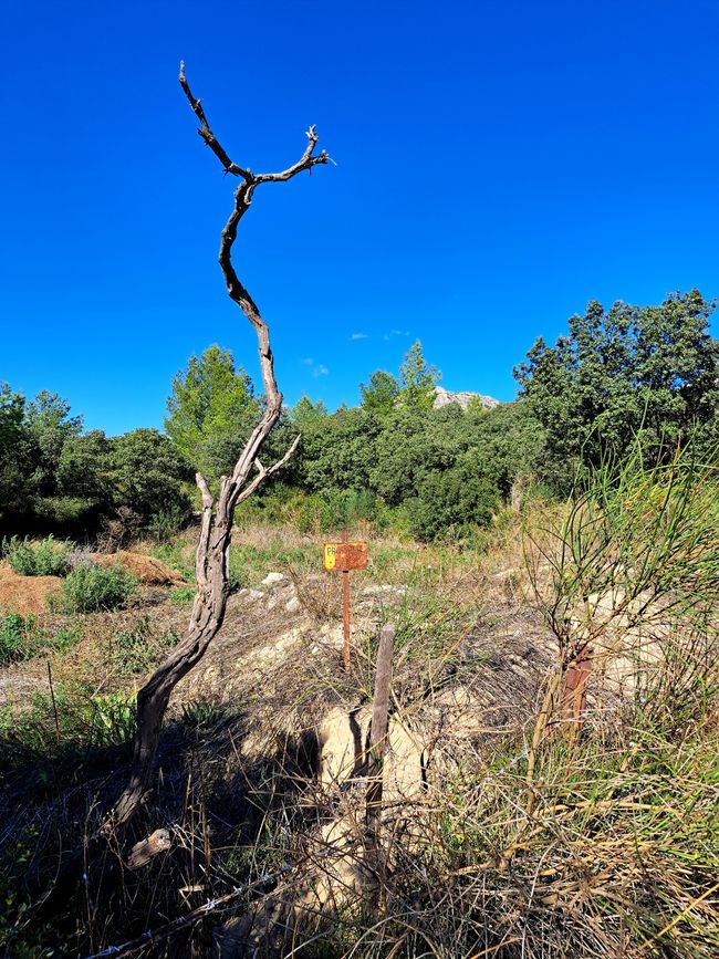 Las Alpilles