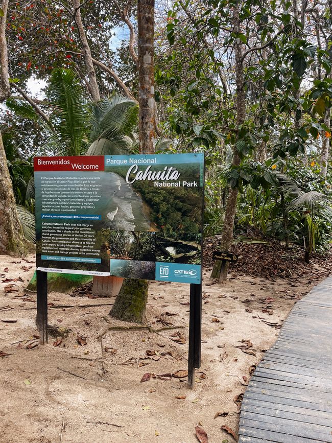 Puerto Viejo de Talamanca 🦥