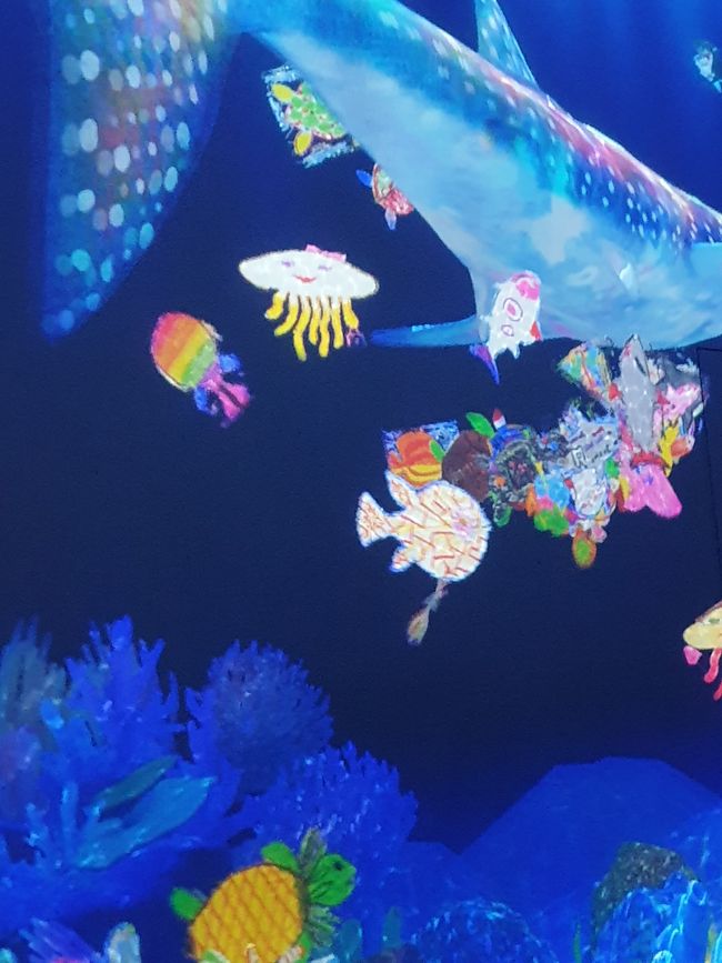 Lì c'è il mio pesce in uscita