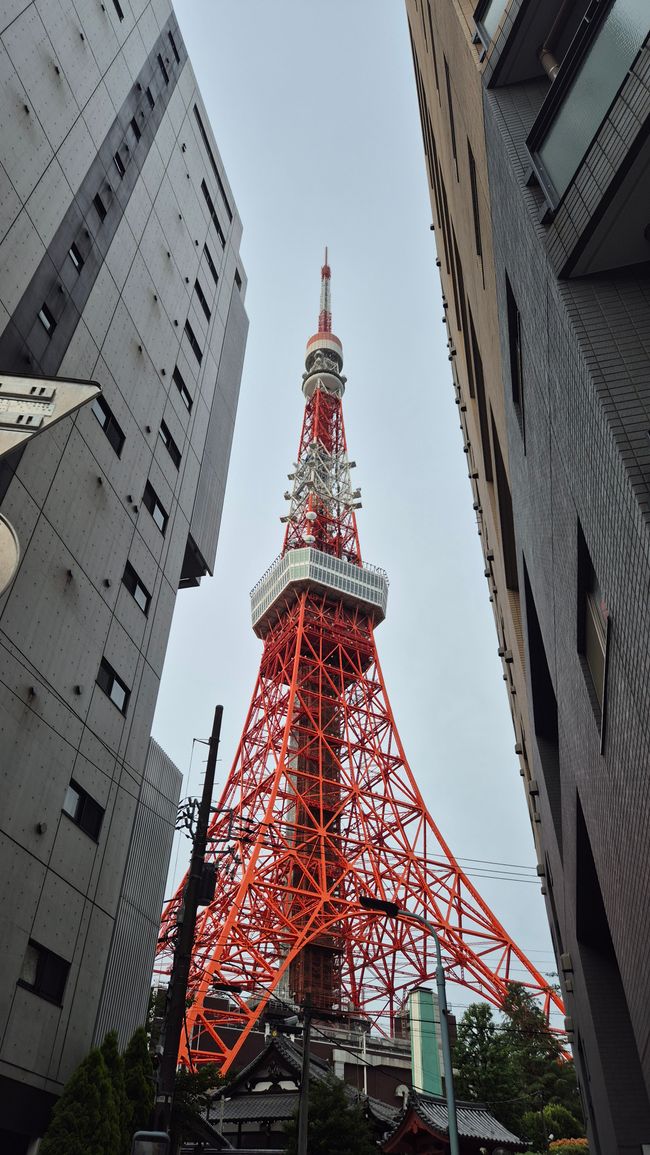 Tokio