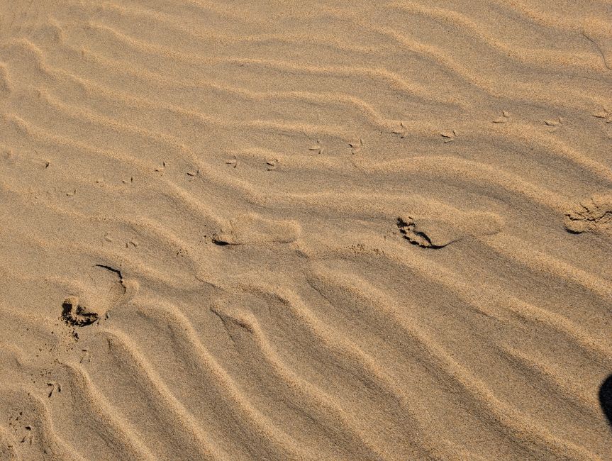 Auf ein paar Worte in Abel 
Tasman