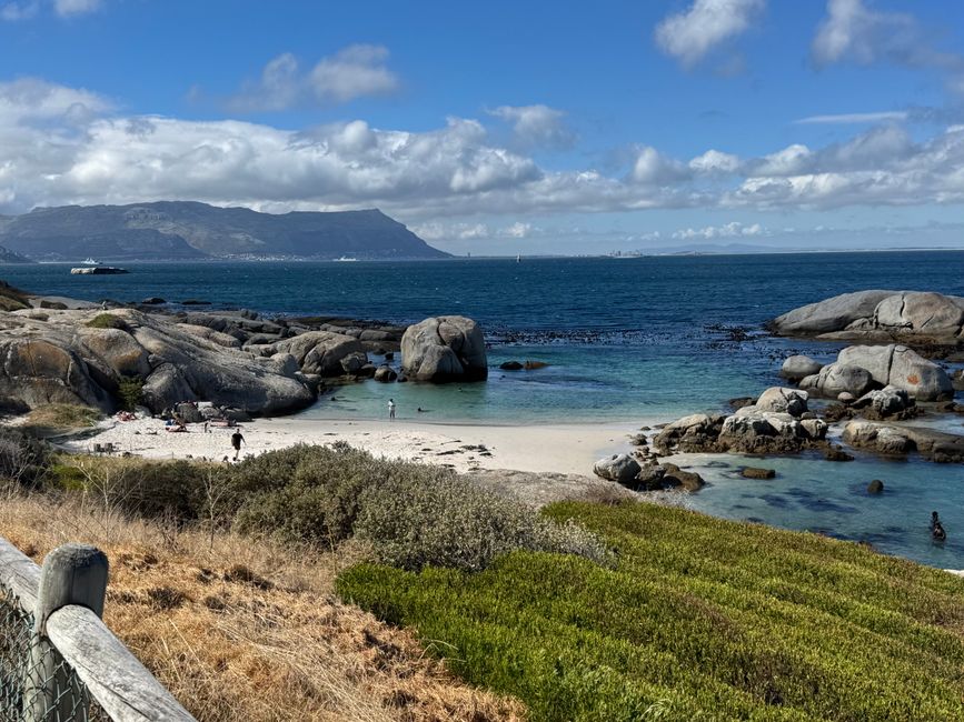Afrique du Sud🇿🇦 Semaine 1