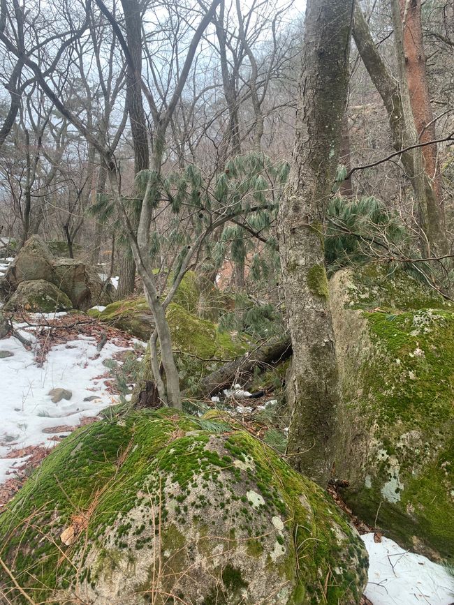 Sokcho & Parc National de Seoraksan