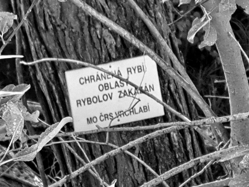 Angeln verboten - glaub ich...