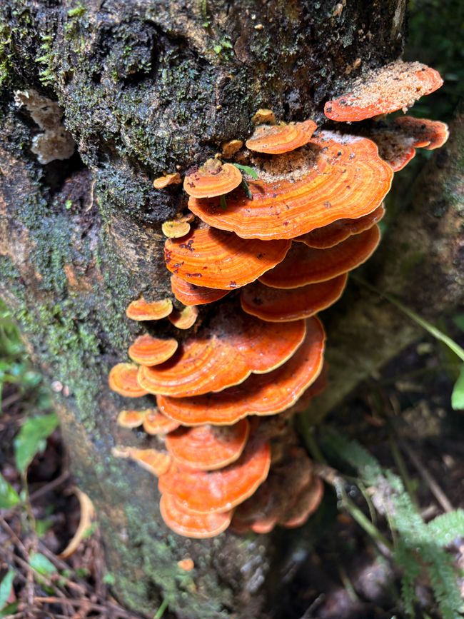 Unterwegs in Costa Rica