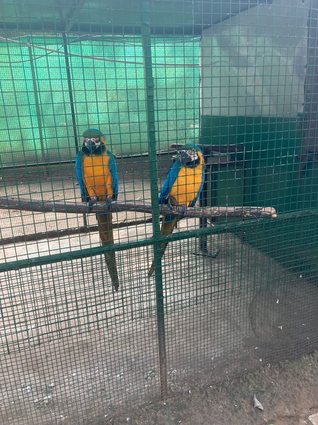 Tierpark
