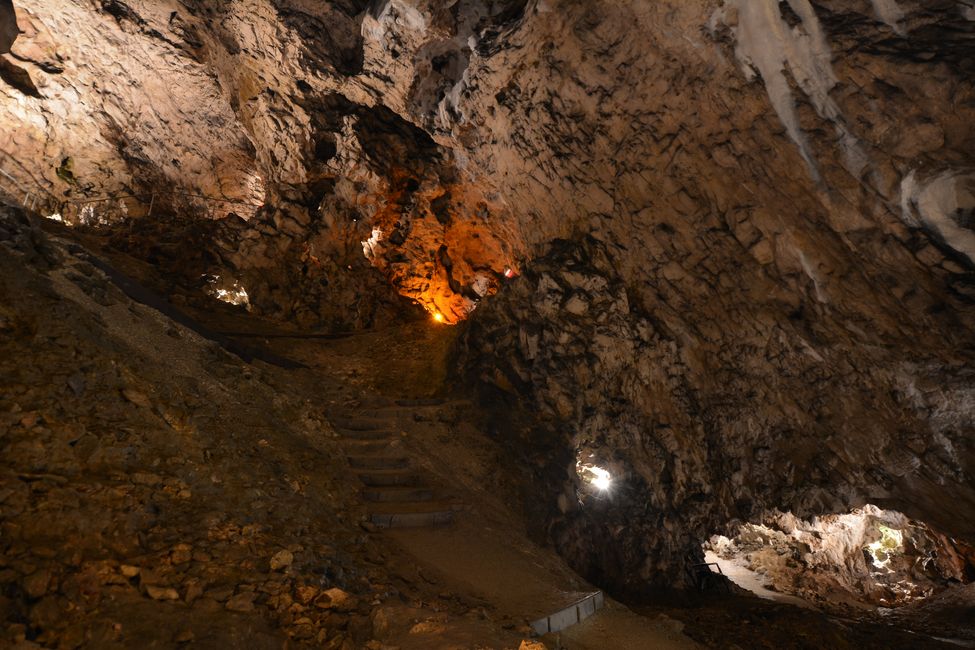 Fenêtres sur le passé - La grotte de Hohle