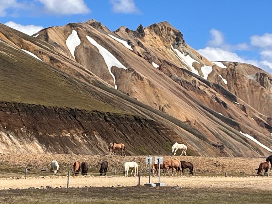 Landmannalaugur