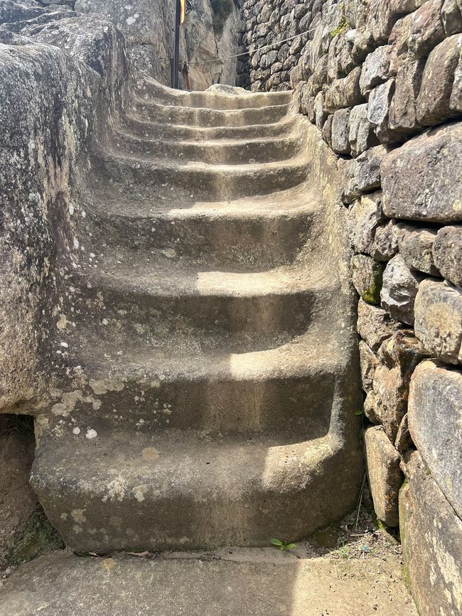 👷‍♂️Tag 26-2 (3.11.) Machu Picchu, die alte Inca-Stadt