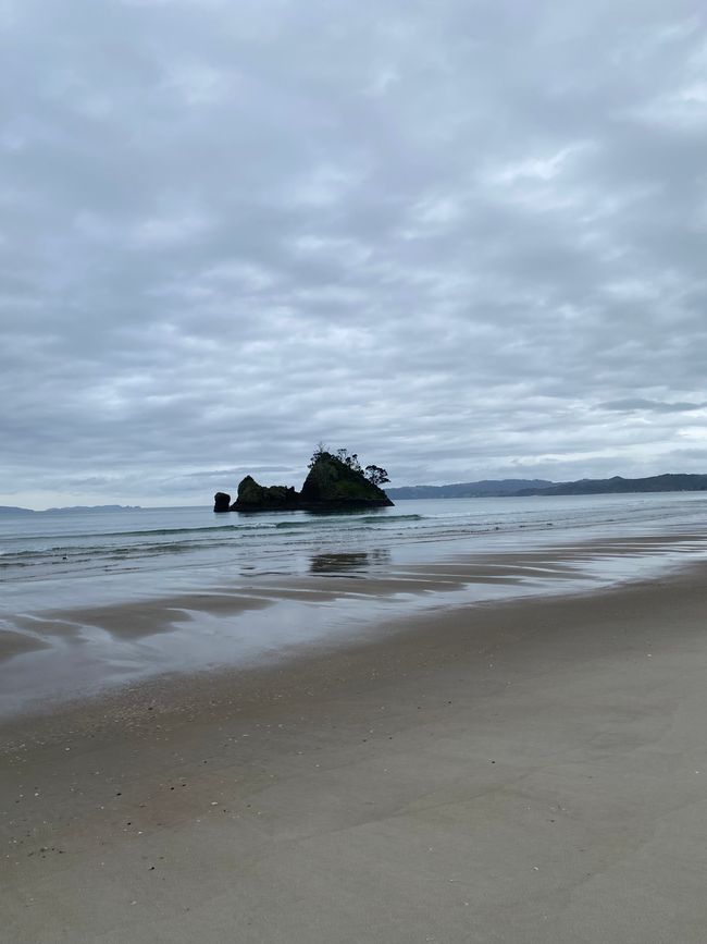 Coromandel loop