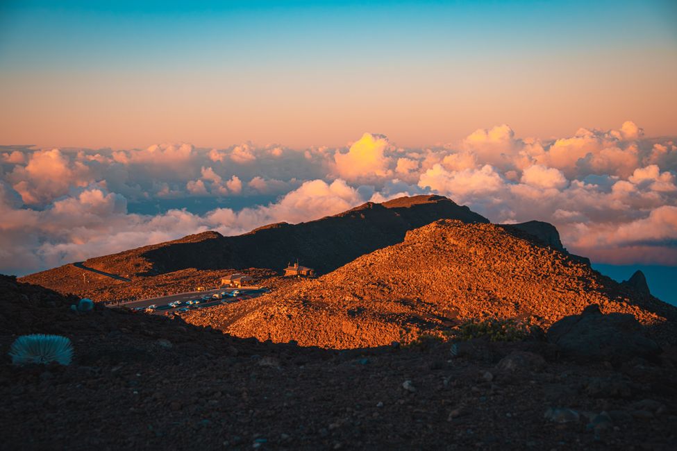 Maui