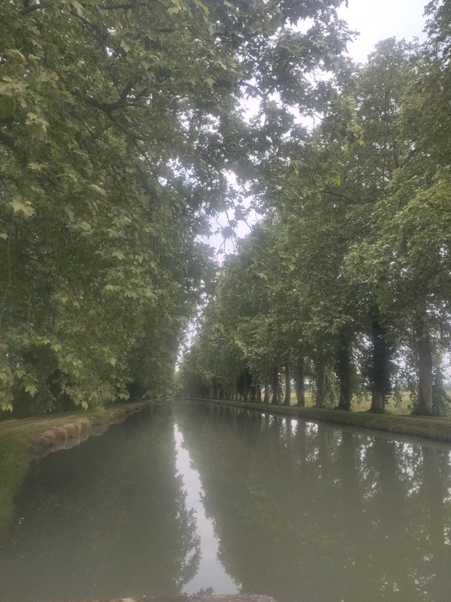 am Kanal Lateral la Garonne