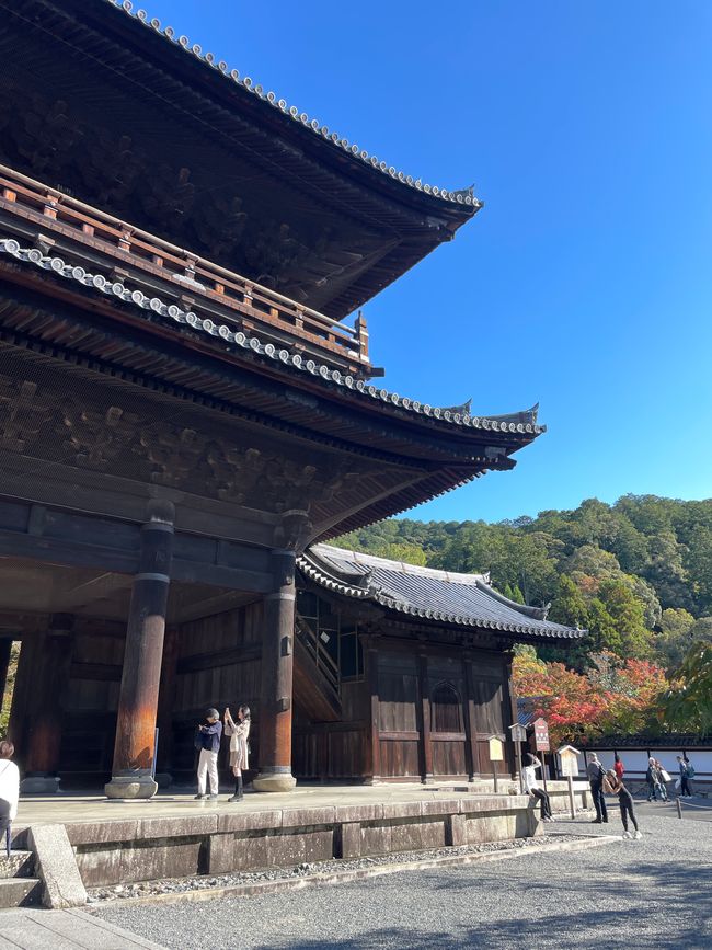 8. Chapter:
Blessed sitting through Kyoto