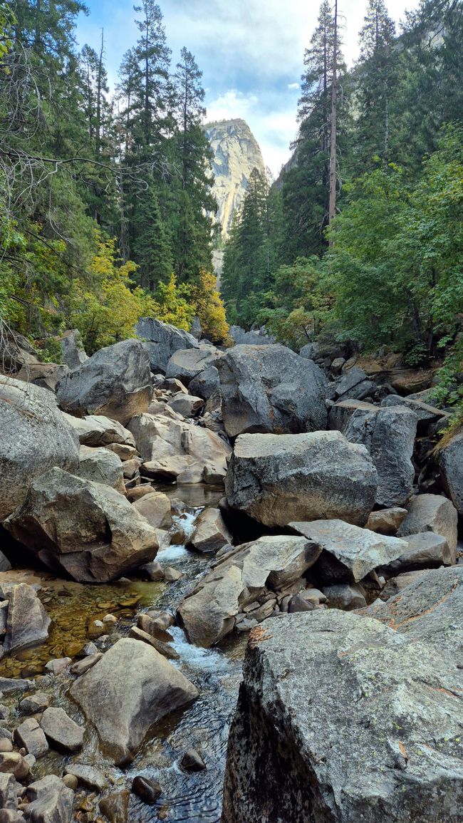 07.10/08.10. Yosemite National Park