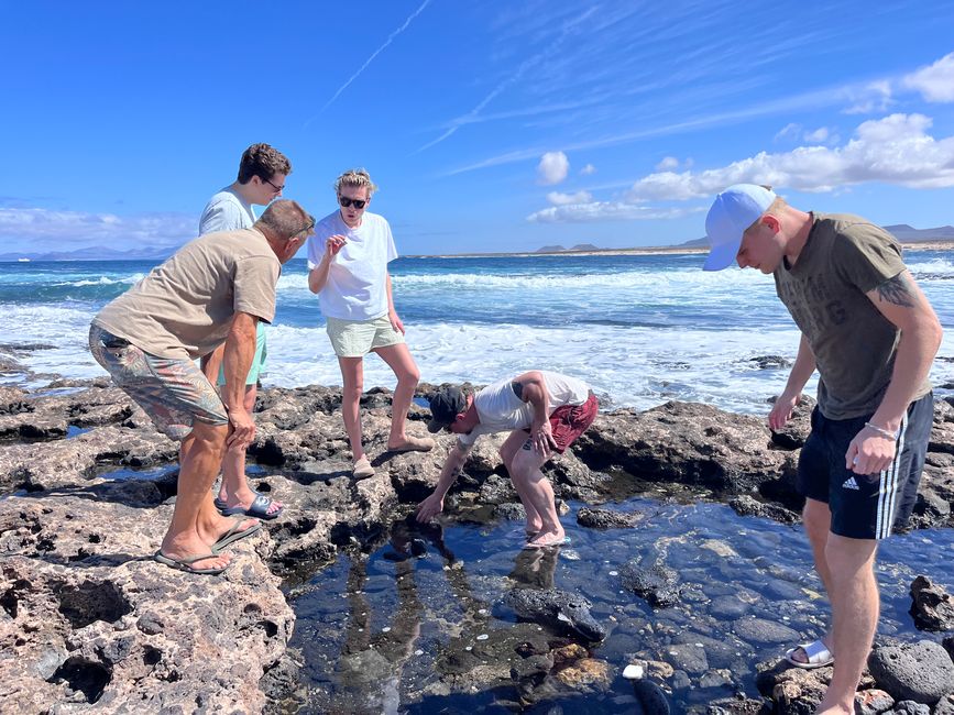 During rock pooling