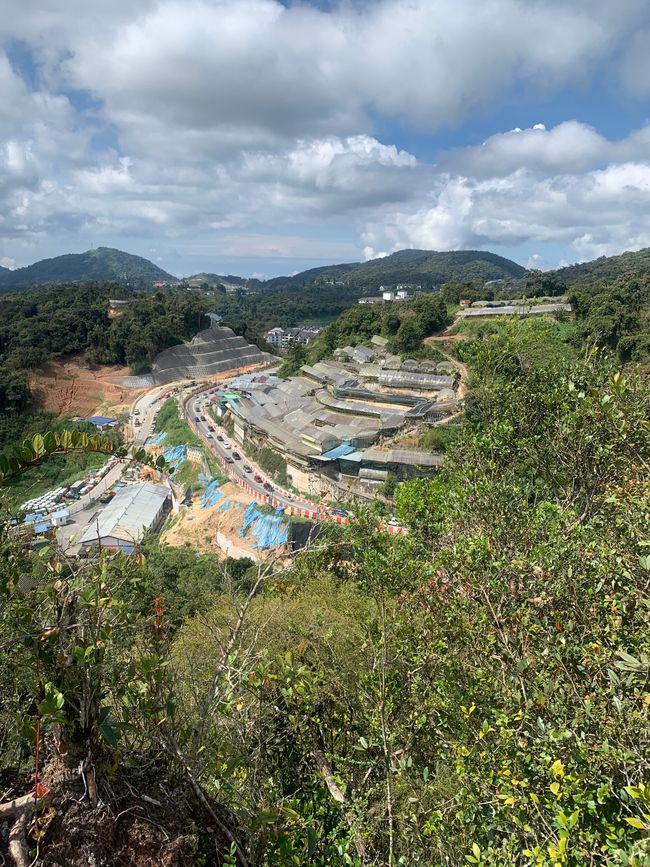 Cameron Highlands