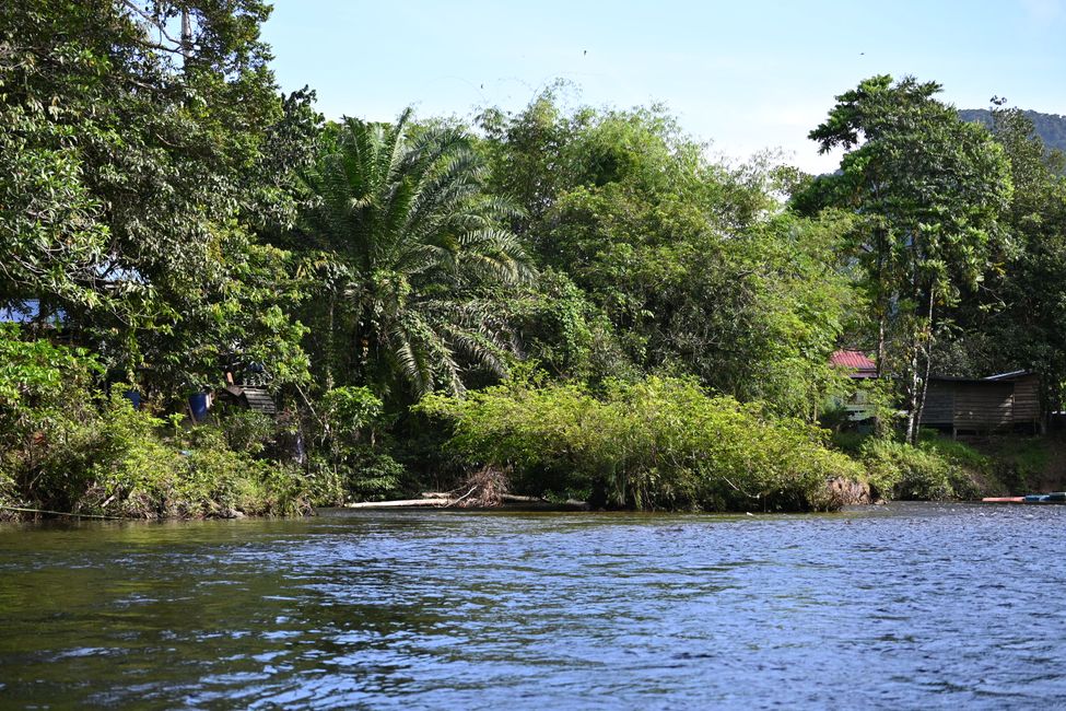 Parc National de Mulu