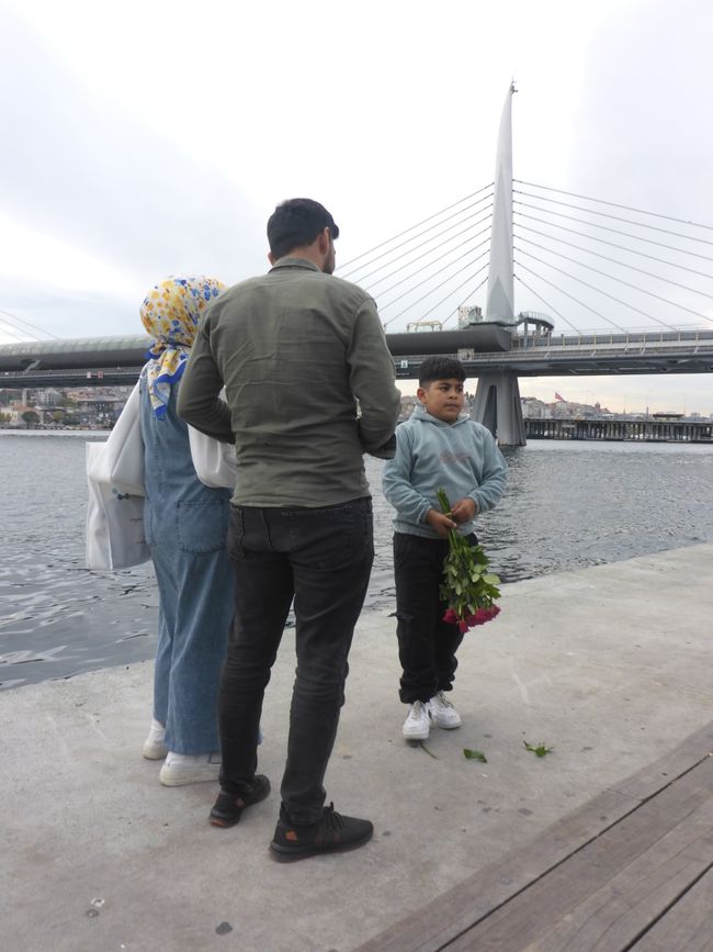 Pause am Ufer. Möchtest du eine Rose kaufen? 