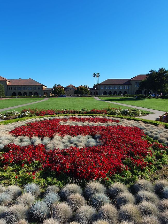 Universidad de Stanford