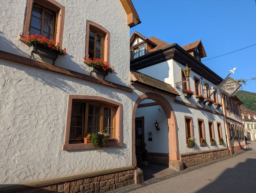 Dalle Foreste Nere in Pfalz