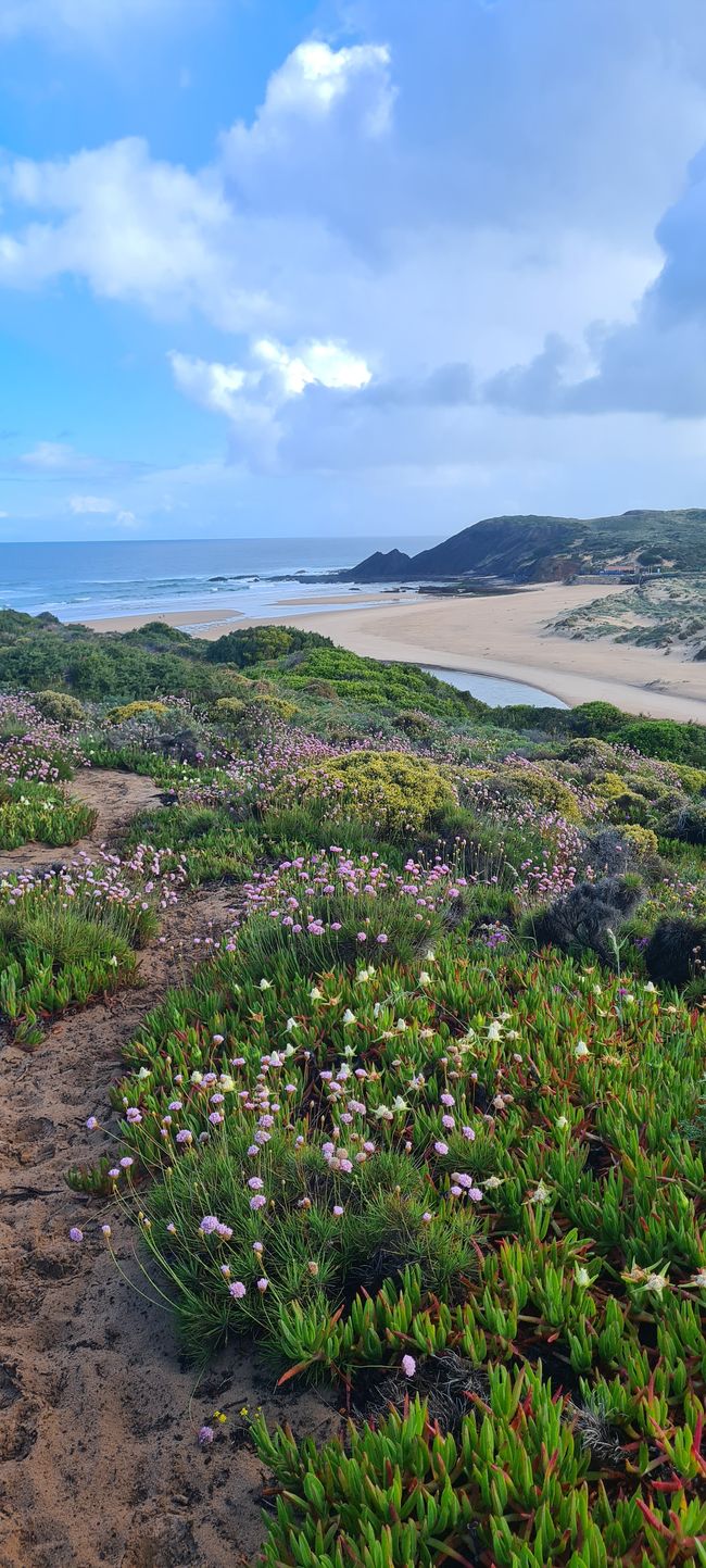 7. Etapa Monte Clerigo - Praia da Arrifana