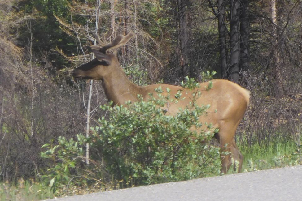 Juste à côté de la route