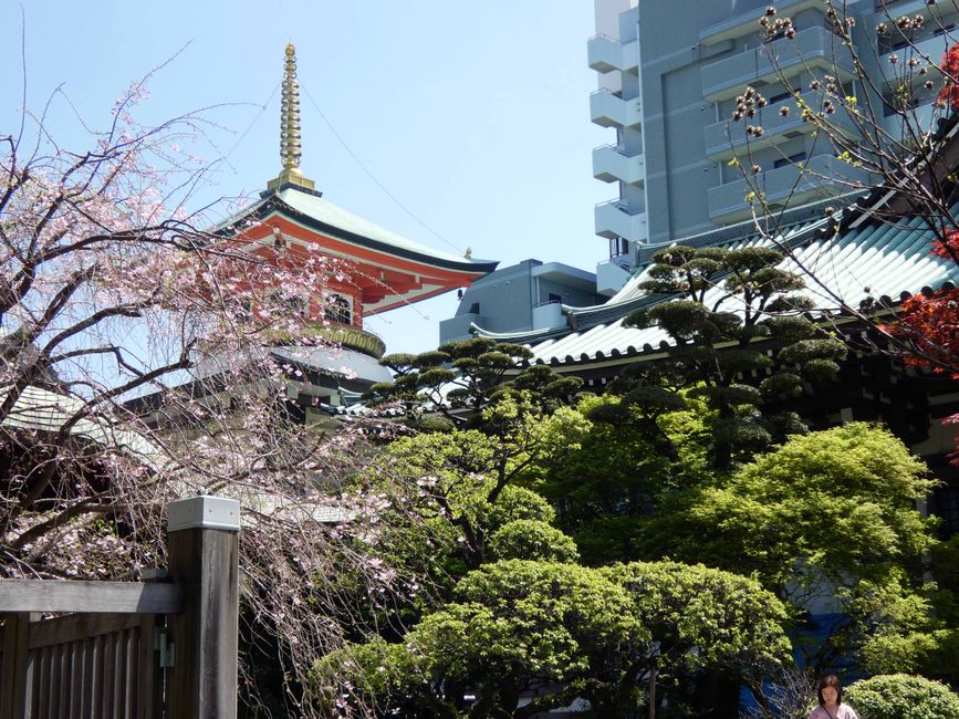 Fukuoka, 5 avril 2026