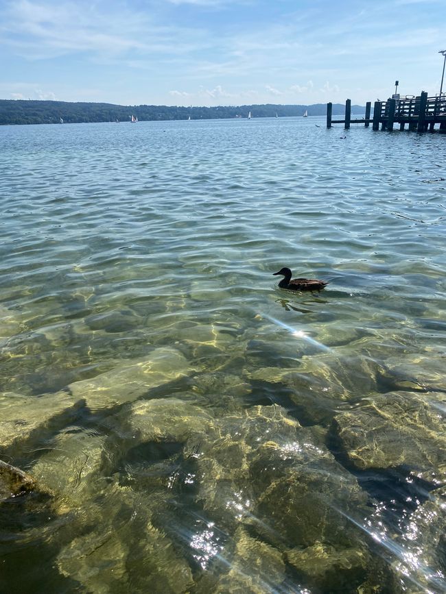 📍Starnberger See, Bavaria