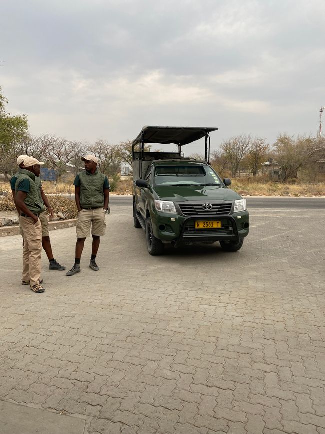 Ethosa Nationalpark 🐘🦒