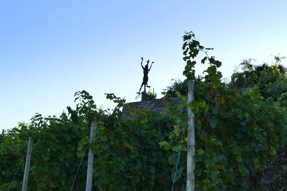 Zwischen Weinreben und Geschichte: Die Yburg im Fokus 📸