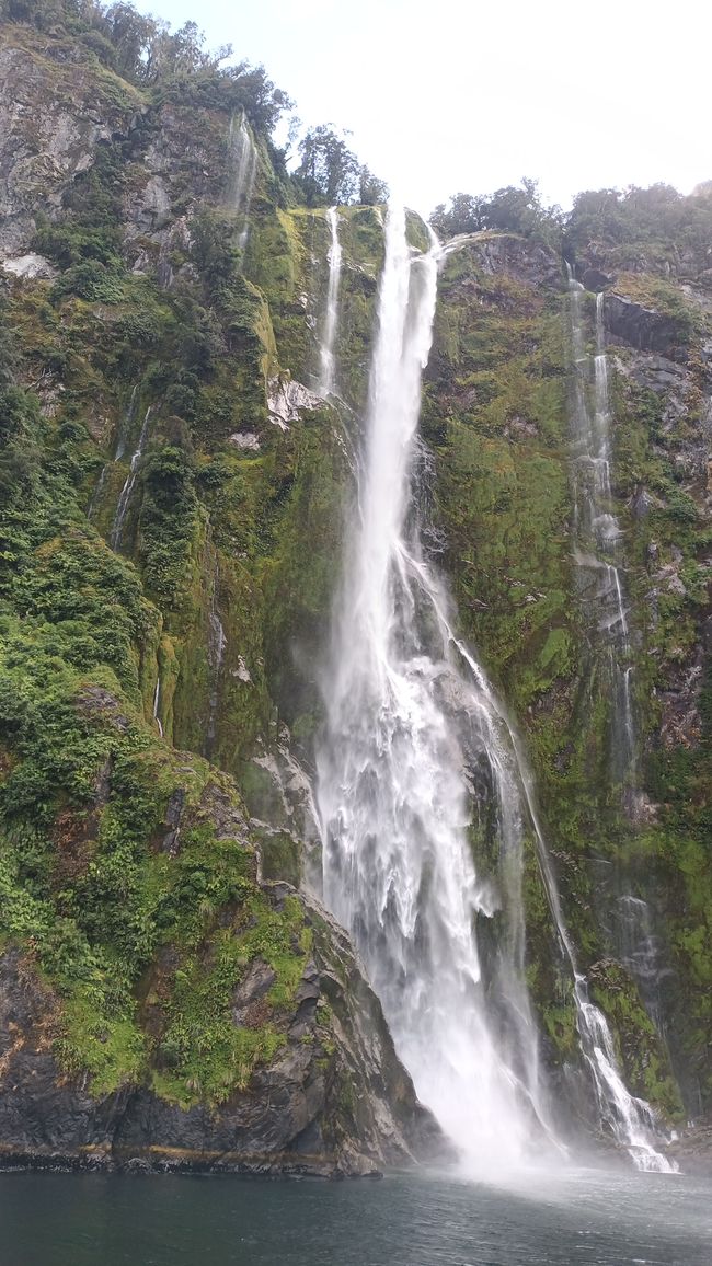 2025-02-19 Fjordland; NZL