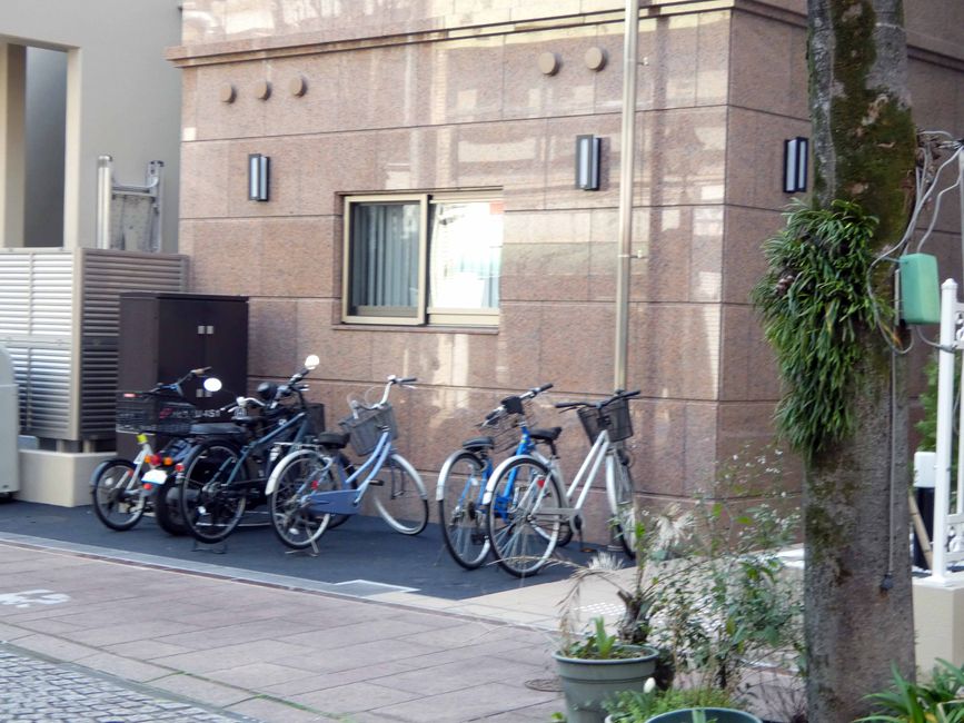 viele Velos