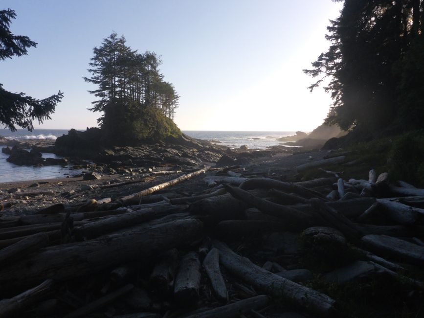 Am Botanical Beach