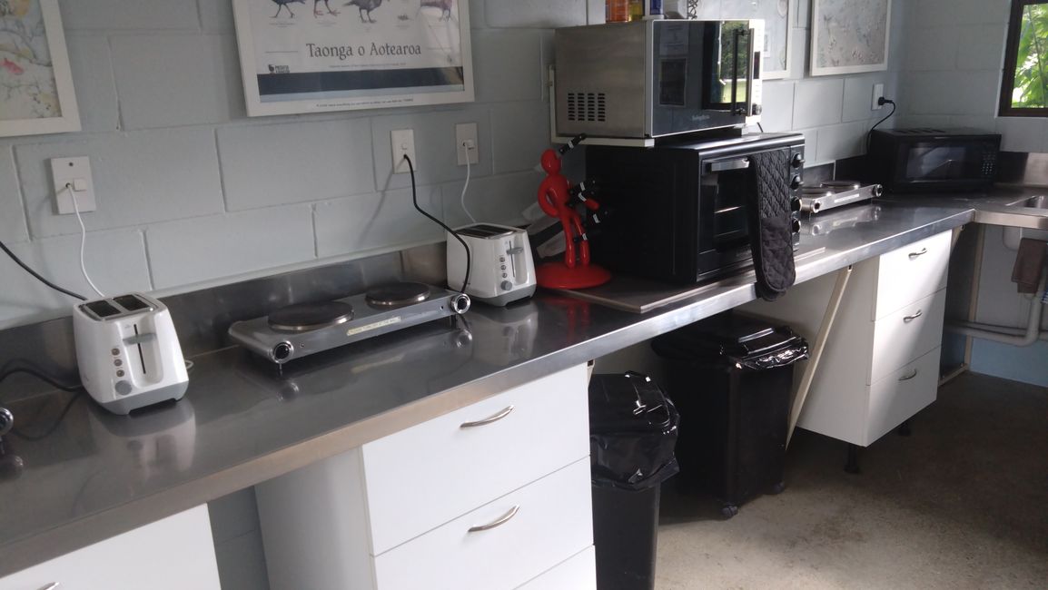 Verbindungsetappe Richtung Milford Sound