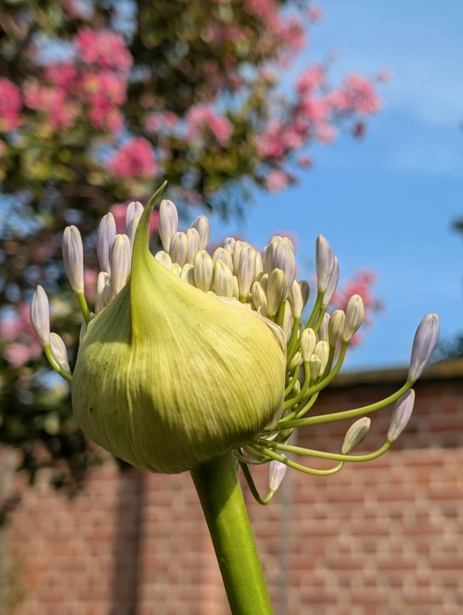 Herrenhäuser Gärten und Botanischer Garten in Hannover.