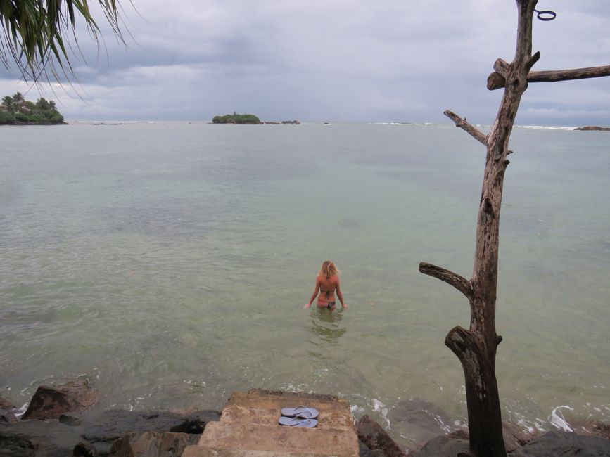 Matara - Mauvais temps, pas de baleines, mais des Salties (crocodiles d'eau salée)