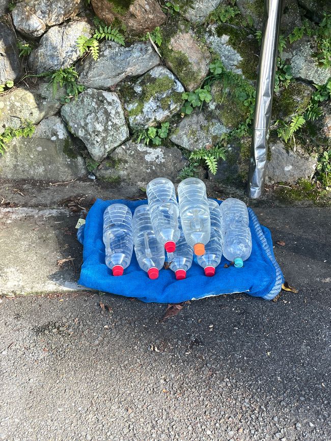 Wasserflaschen gegen Katzenpisse