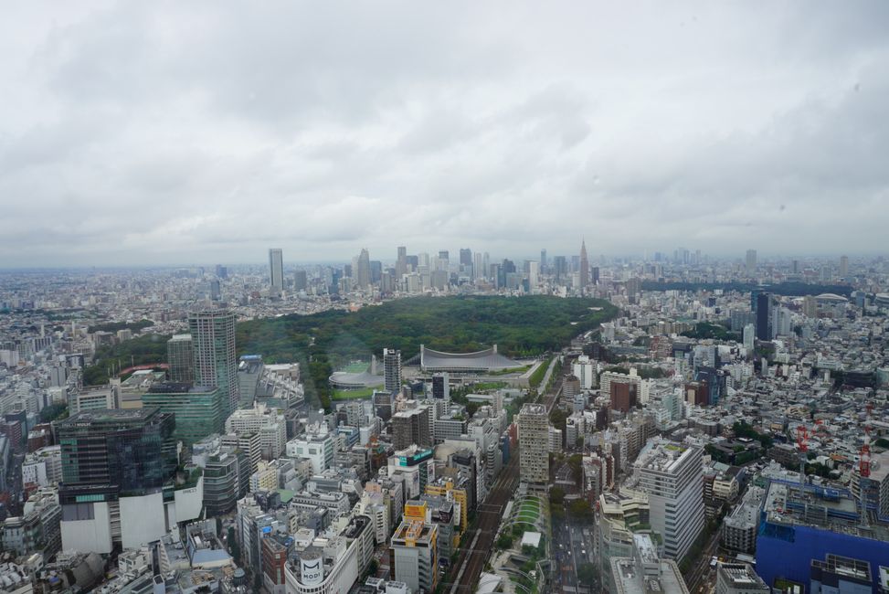 Shibuya y Sumo