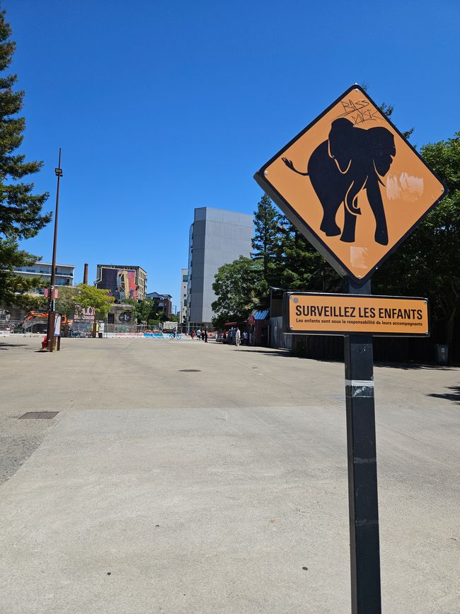 Dans les environs : Avertissement aux éléphants