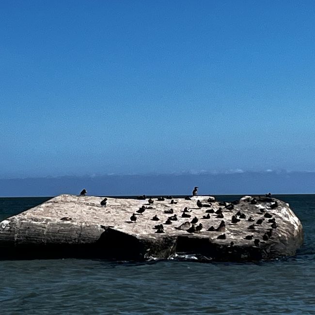 Ankunft in Hirtshals
