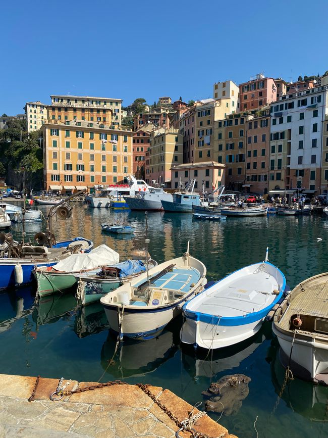 Le port de Camogli