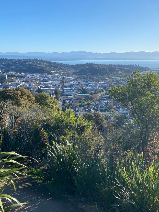 Nelson, Queen Charlotte drive, Picton, Kaikoura, Blenheim
