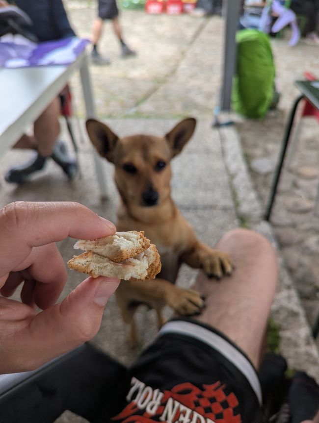 Bilancio sul Passo (Camino Portugues 5)