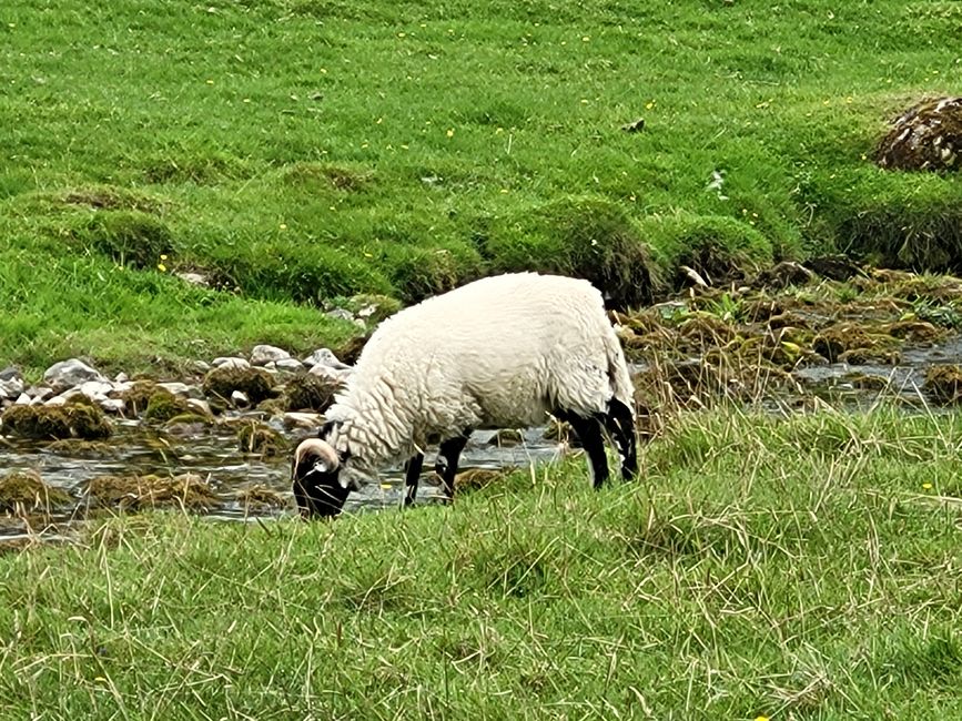 Hike around Malham