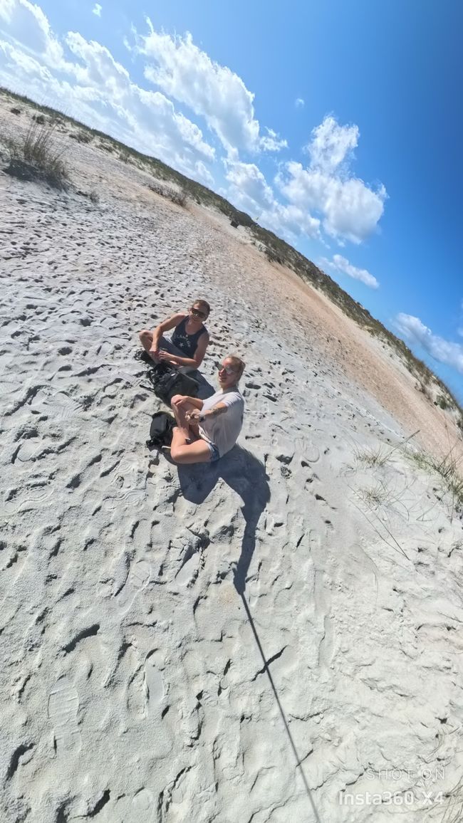 Tag 388 - Anastasia State Park