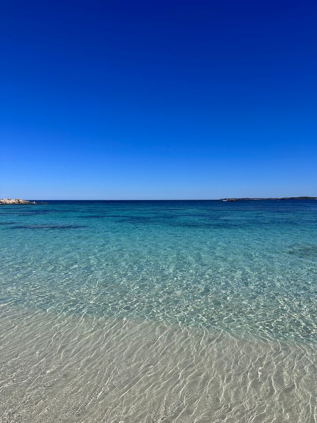 Wadjemup: Where the beaches are perfect and quokkas are at home ❤️🏖️