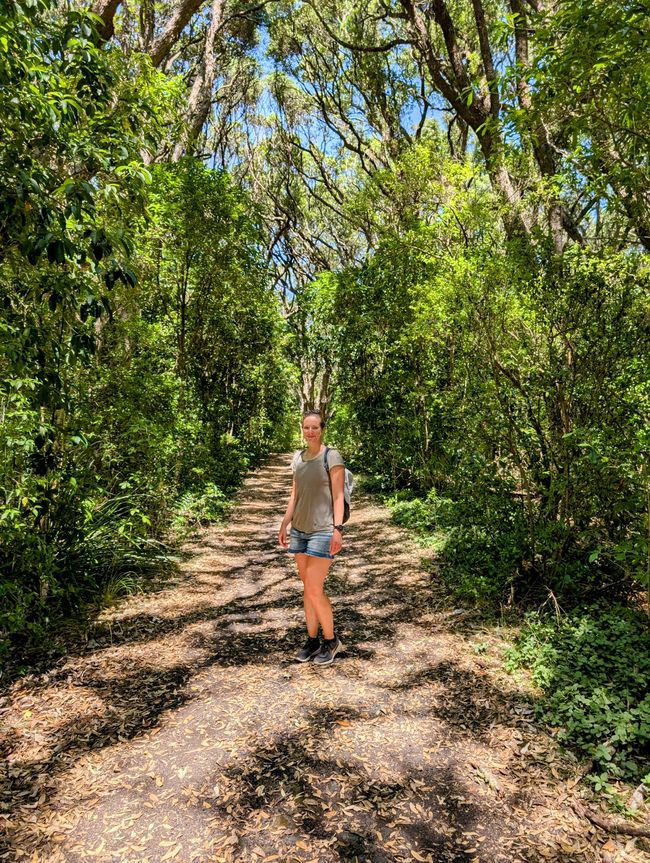 Rangitoto Island - 
Juhu, Achso und AUJA!!!