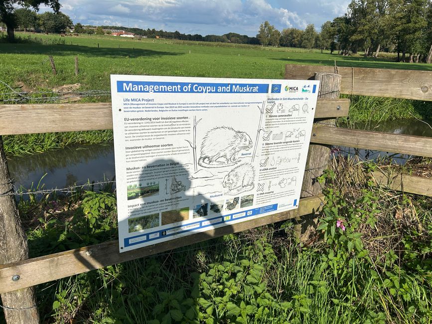 Tag 8: Schoten - Hunsel Teil 2