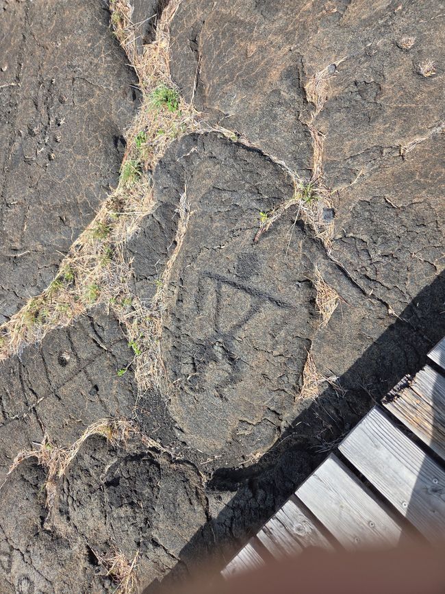 Pétroglyphes de Puʻuloa