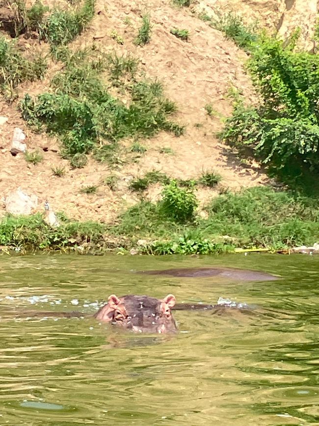Queen Elizabeth Nationalpark